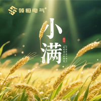 领恒电气